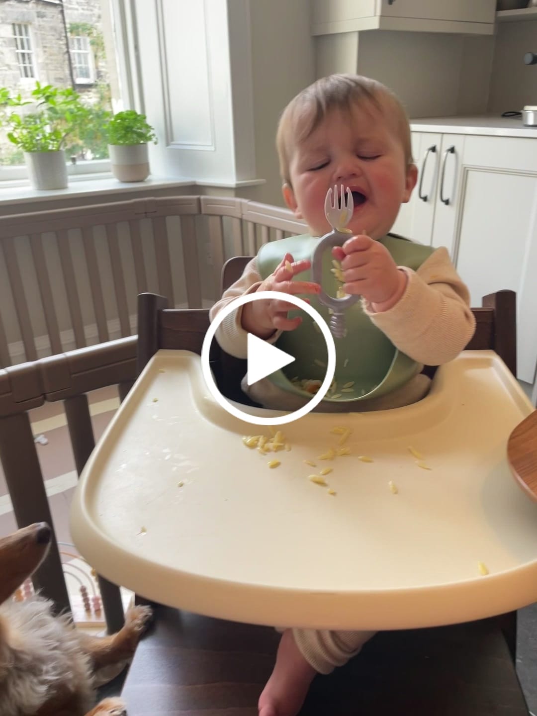 Customer video review of Multi-stage baby spork and dipper - Sporkit™ (two-pack)