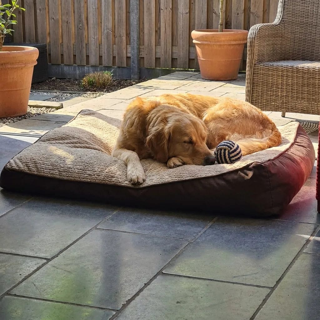 Customer photo review of Lit pour chien orthopédique