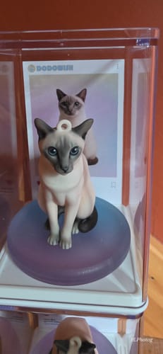 Customer's Custom Chibi Figure Keychain of a Siamese cat, displayed inside a clear, stacked protective case.