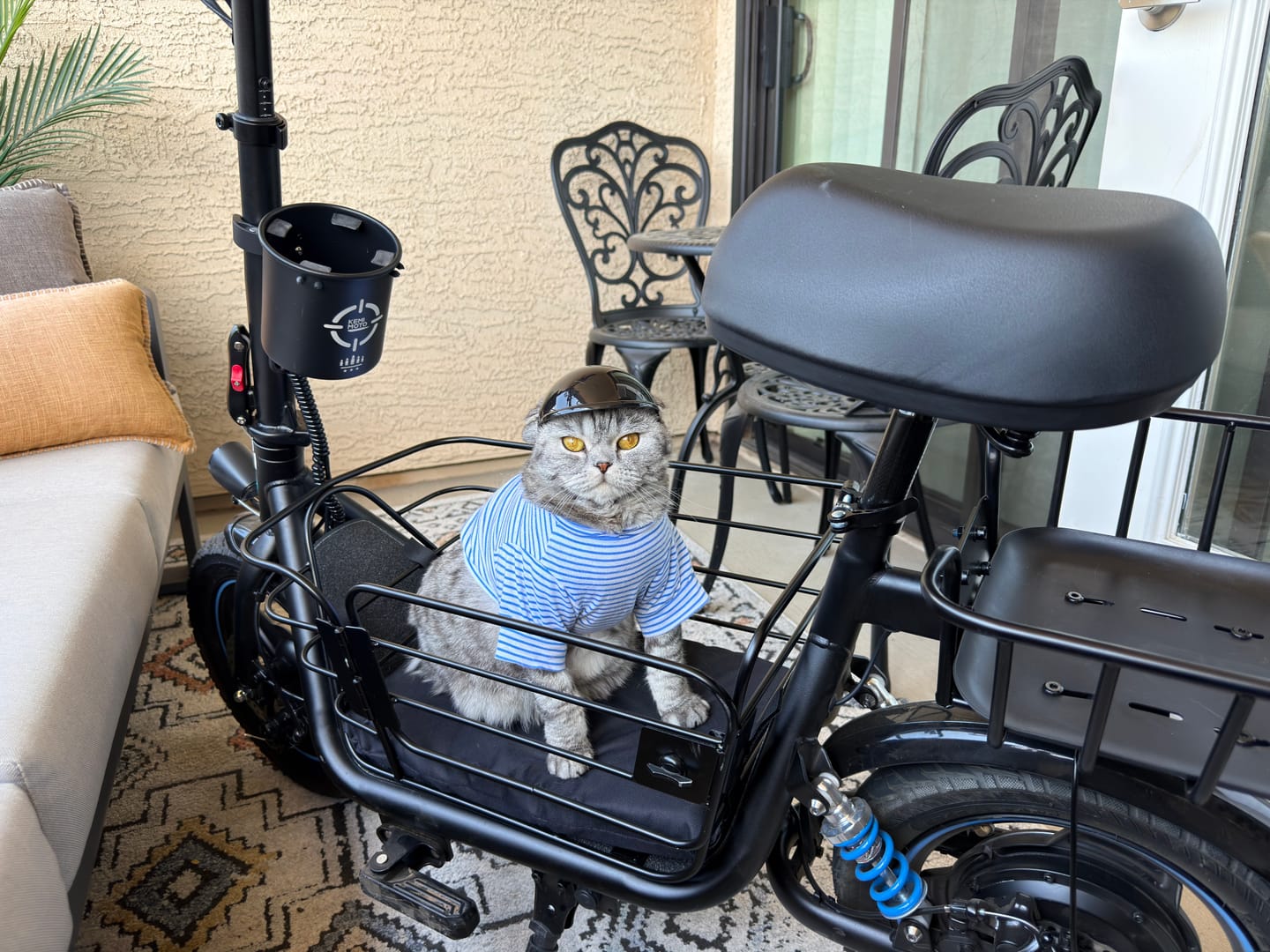 Customer photo review of Gyroor C1Plus 1000W Electric Scooter with Dual Baskets for Pets & Cargo