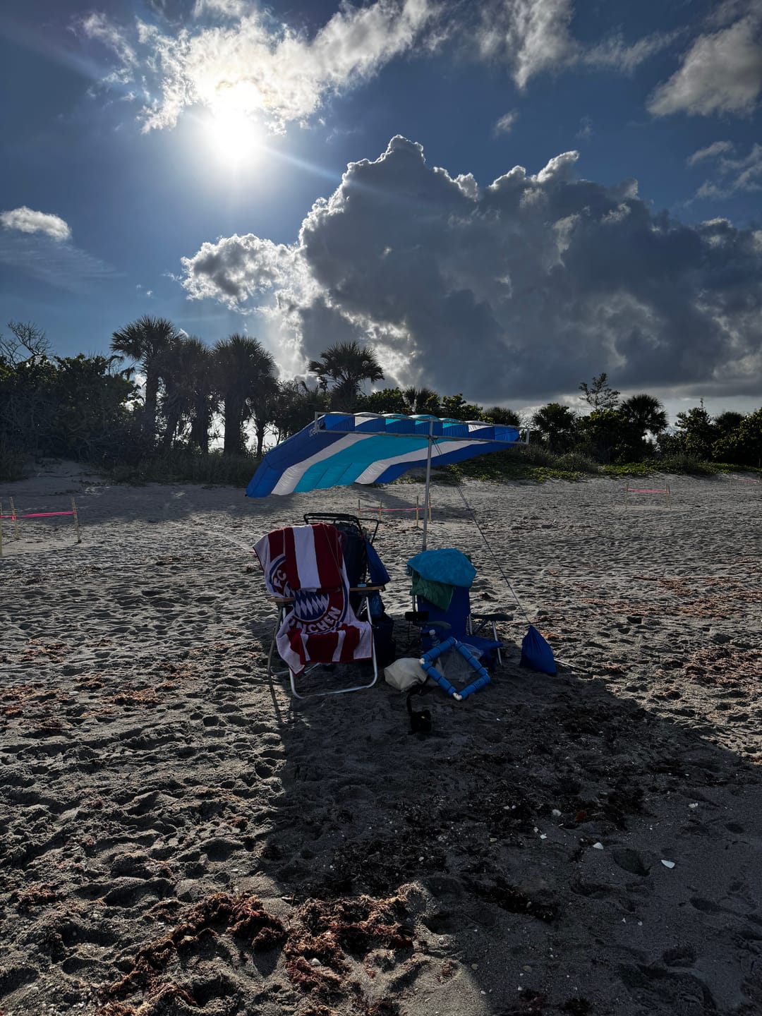 Customer photo review of ShadeSock - Wind-Inflating, Silent Beach Shade