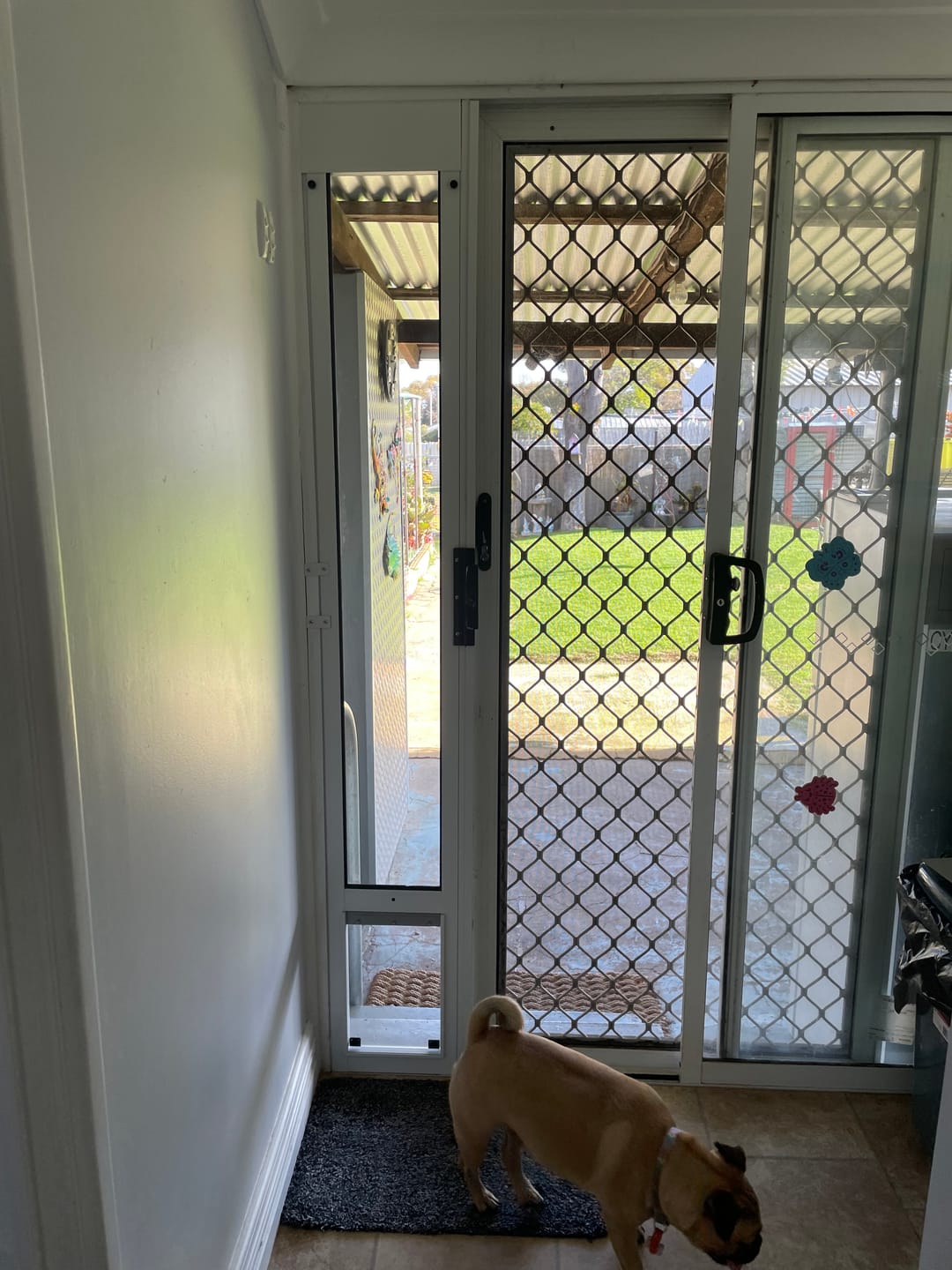 Customer photo review of Pet Door Inserts