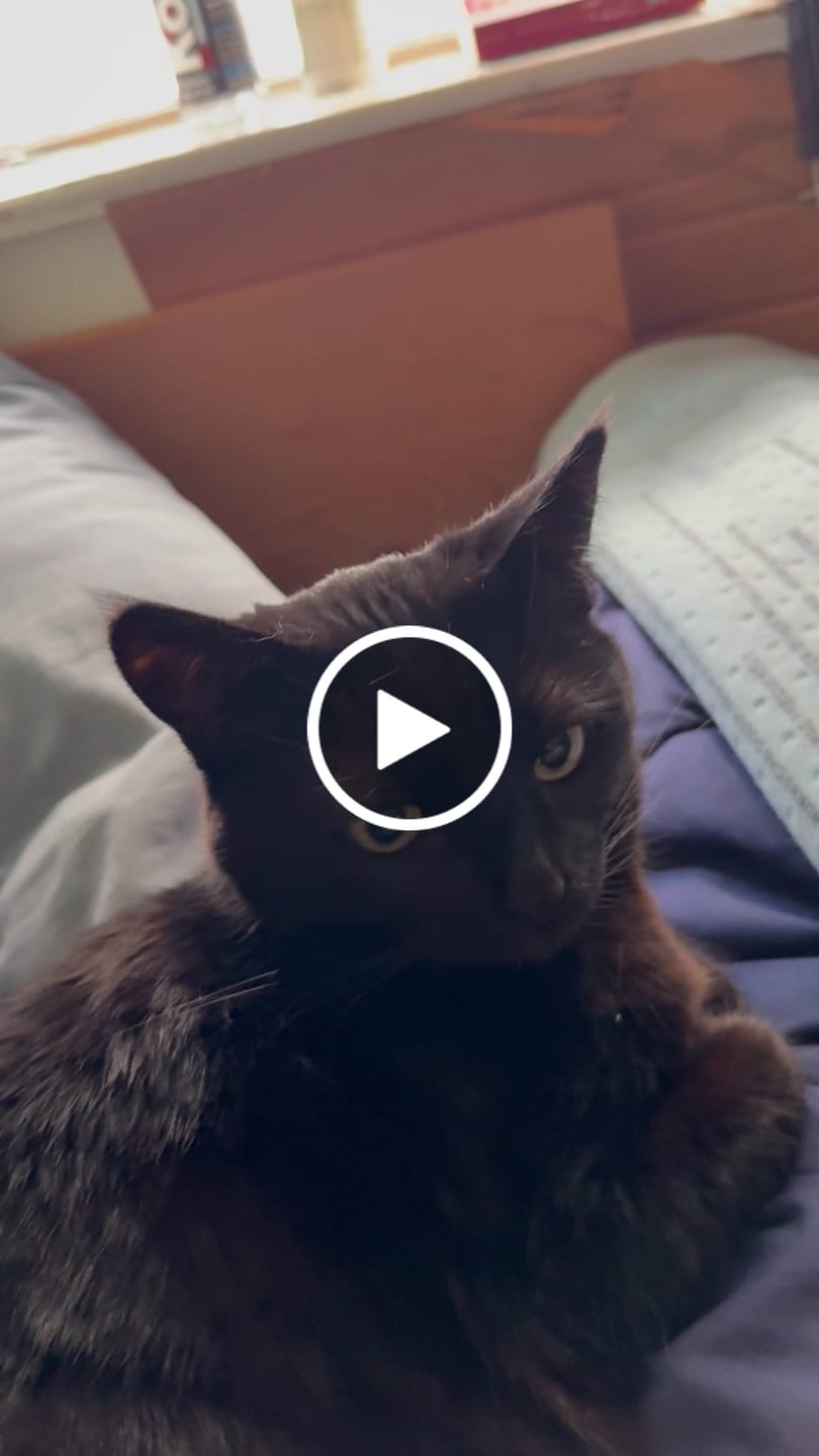 Customer video review of BC Bakery Tee