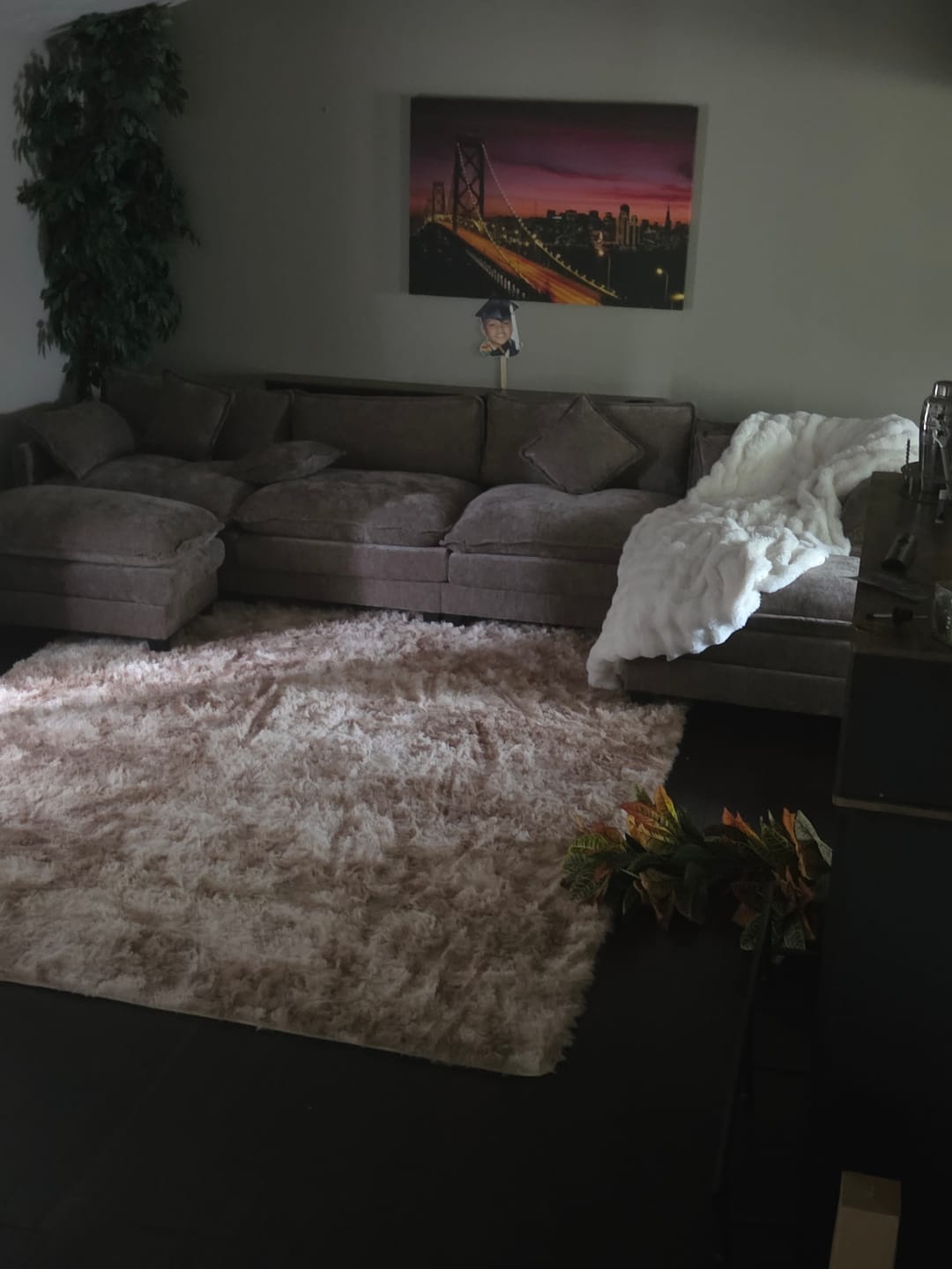Customer photo review of IHanherry 149.2 Inch Cloudy Luxury Thickened Cushion Modular Sofa (6 Colors)