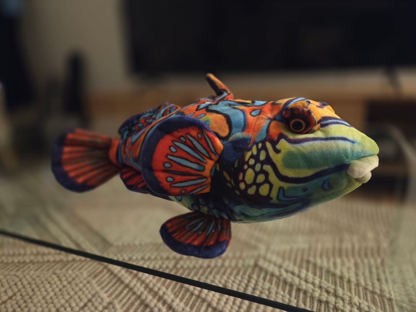 Customer photo review of Mandarinfish Soft Stuffed Plush Toy