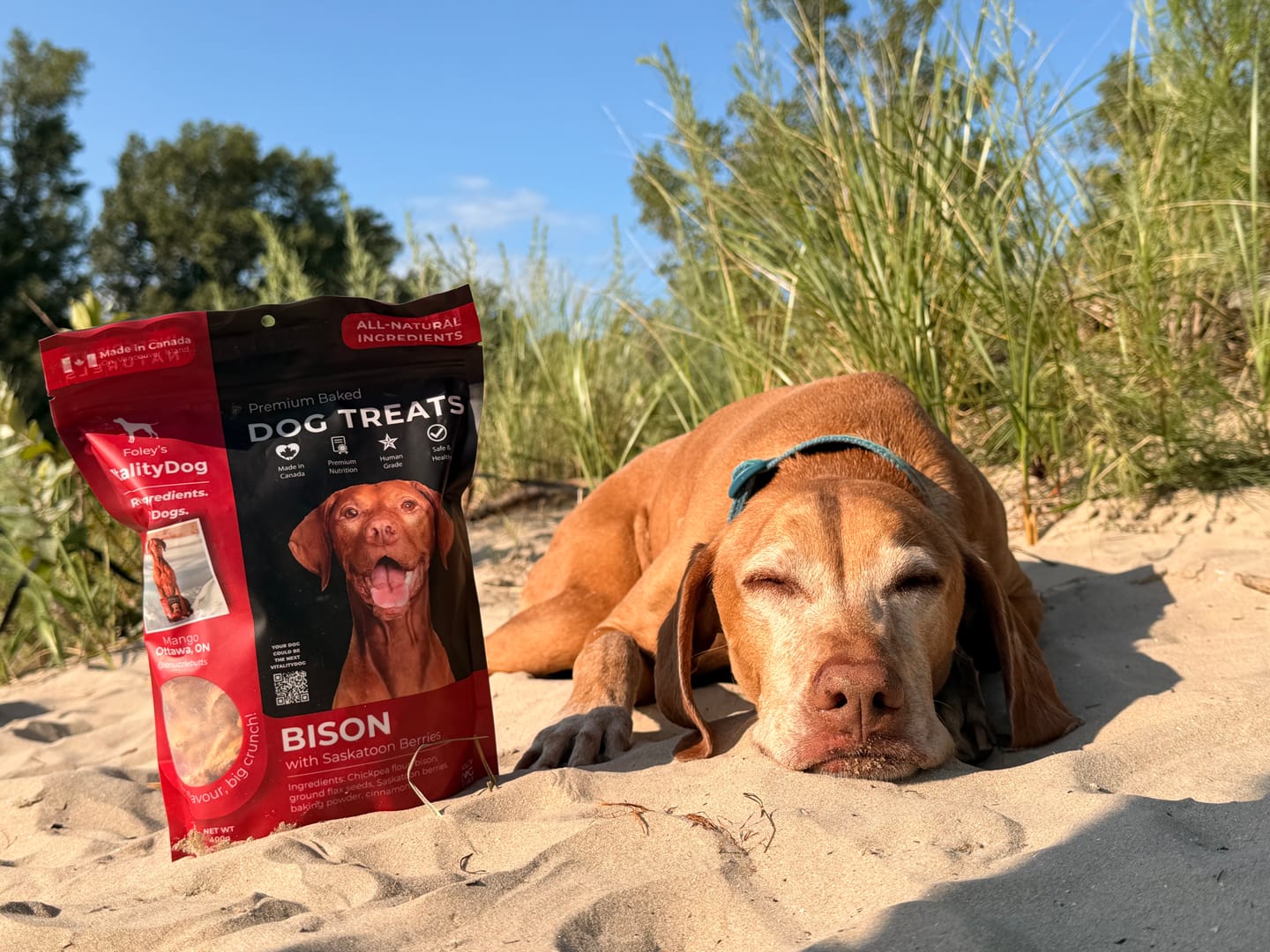 Customer photo review of Bison with Saskatoon Berries