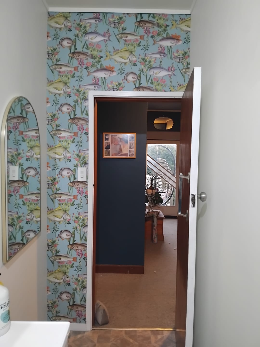 Customer photo review of Lagoon Fish Wallpaper – Teal