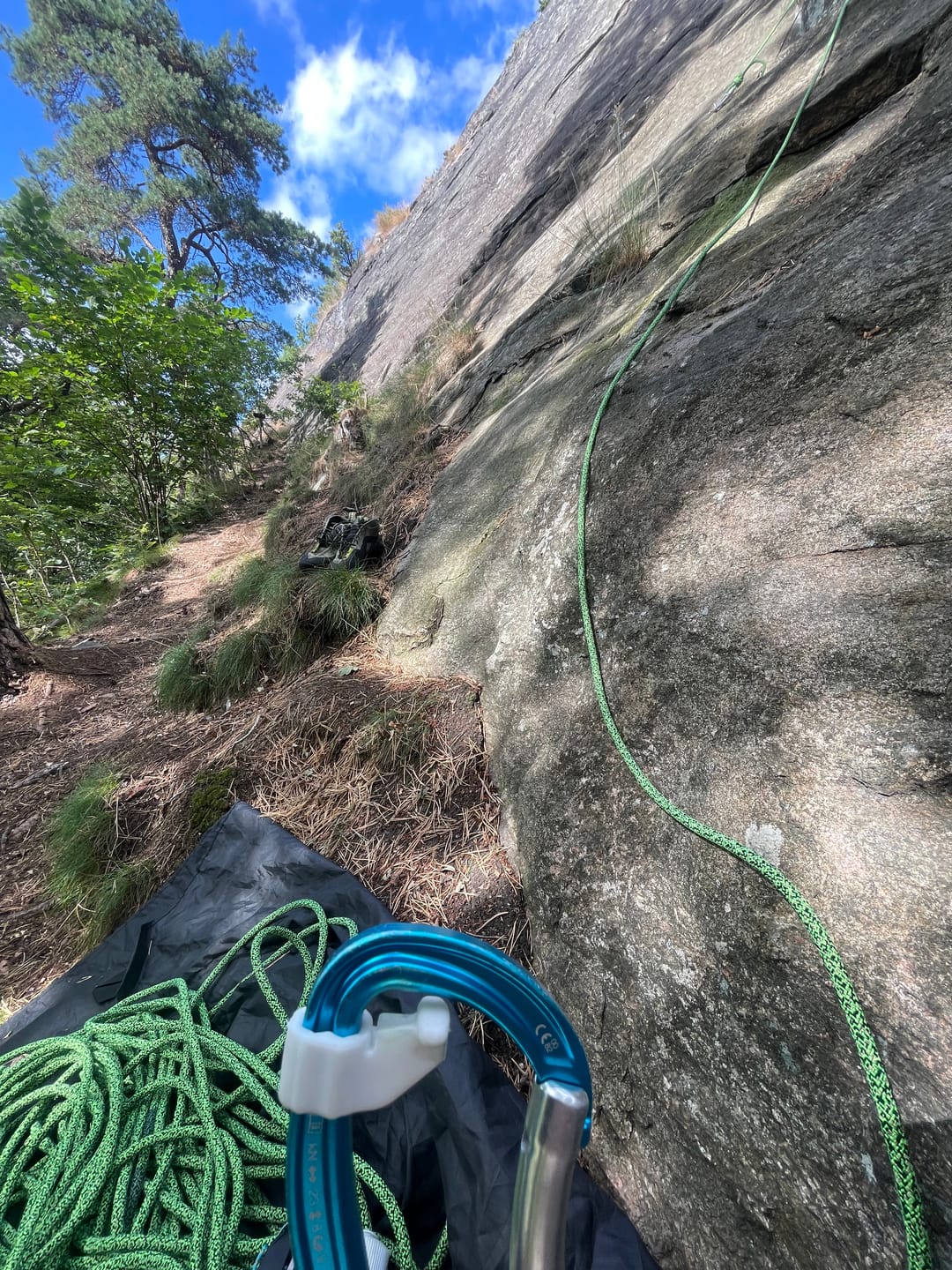 Customer photo review of Soft-Cinch - Lead Rope Solo Backfeed Preventer (5 Pack)