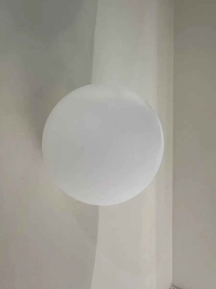 Customer photo review of Round Frosted Glass Wall Light, Single-LED Globe Fixture, Metal Base