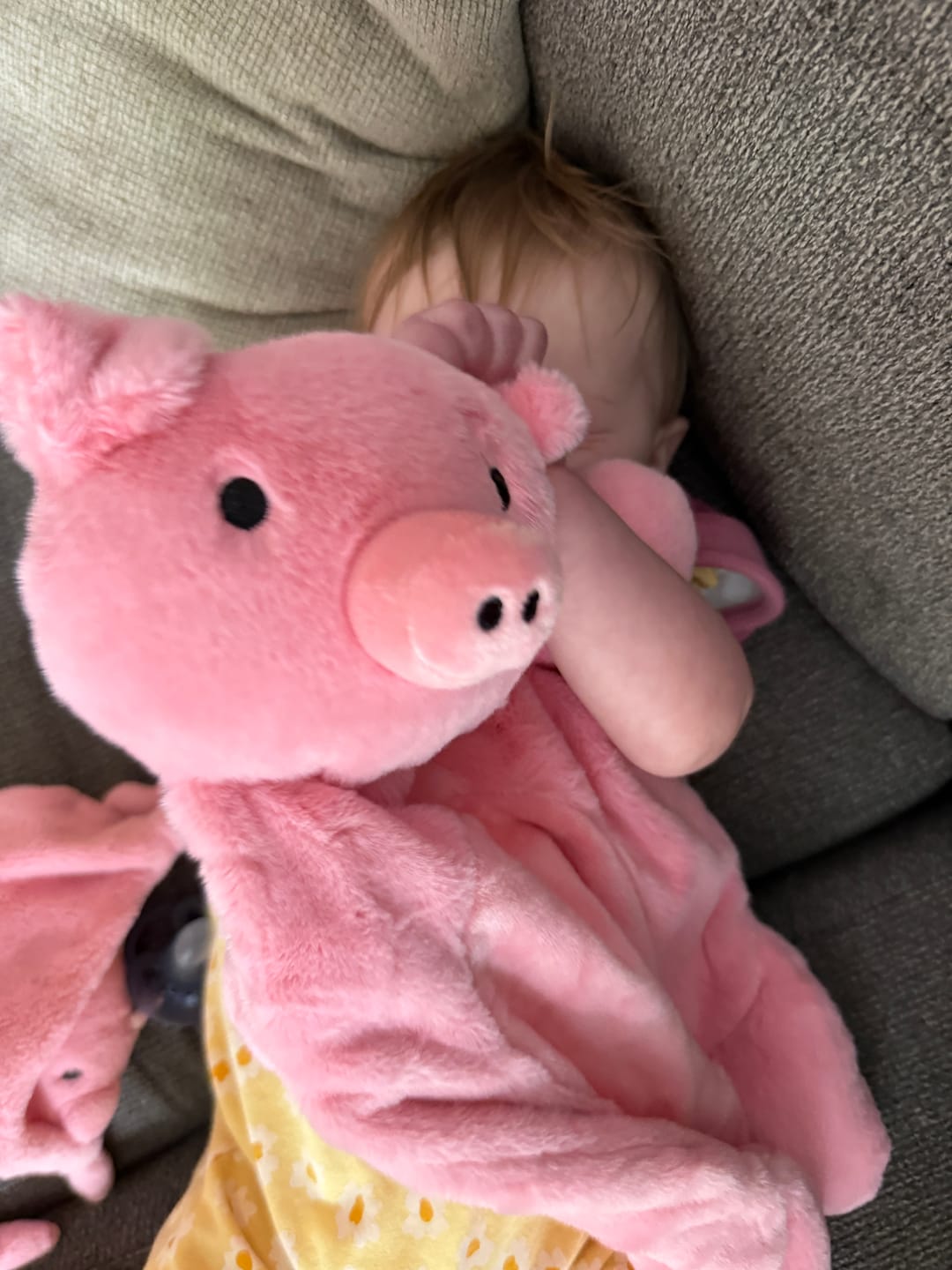 Customer photo review of Big Buddy Penny the Pig