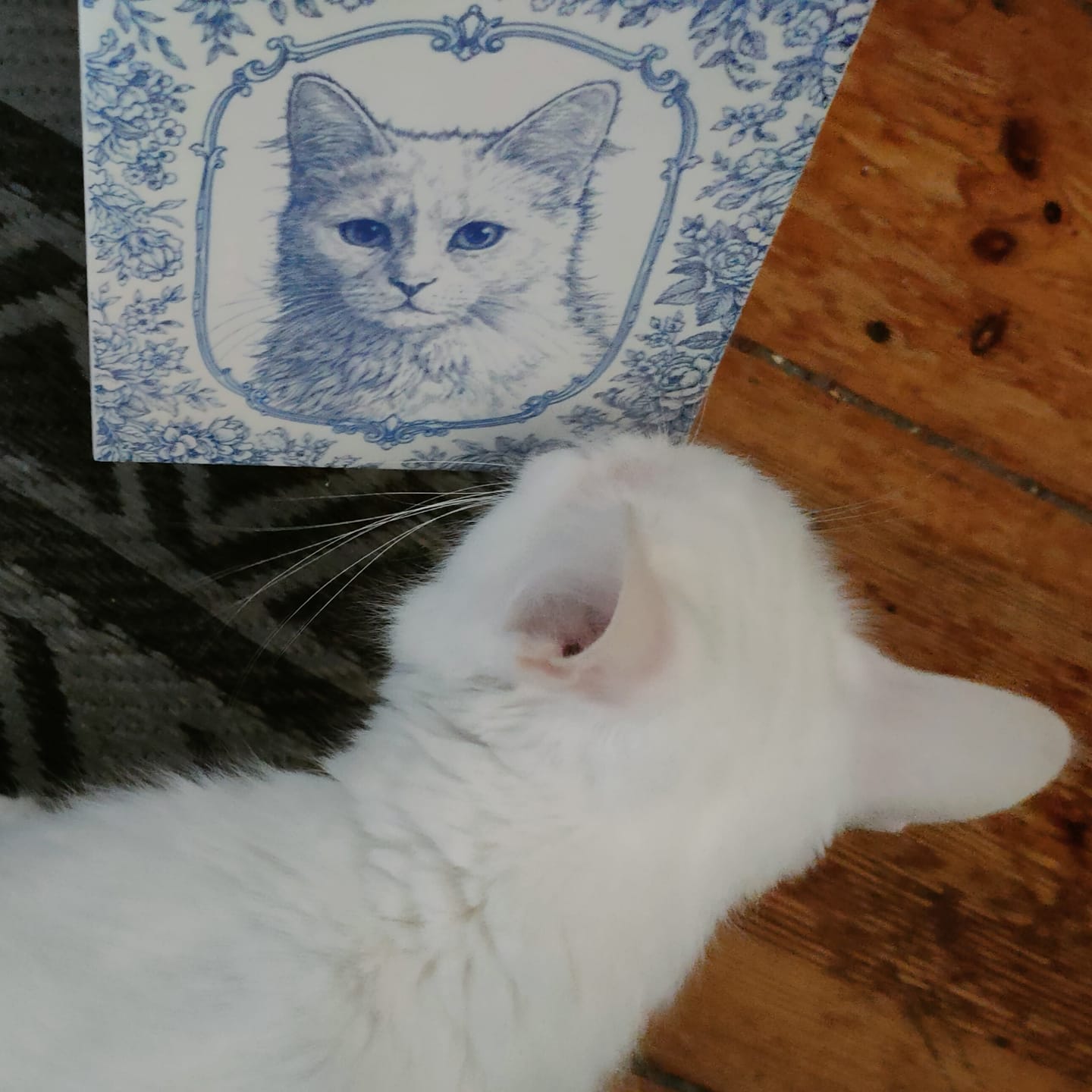 Customer photo review of Personalisierte Deko-Fliese - Toile de Jouy