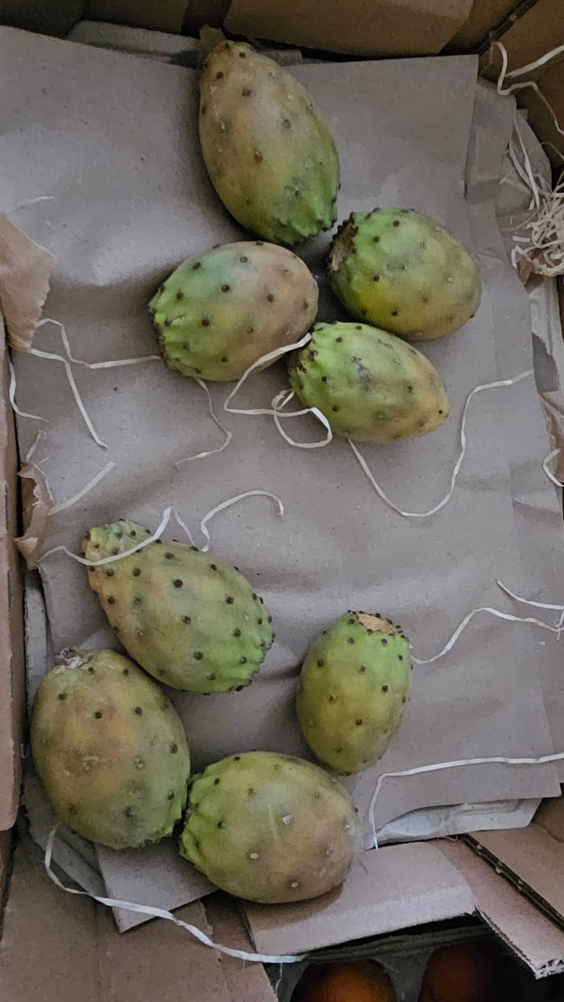 Customer photo review of Kaktusfeigen naturbelassen von Julian