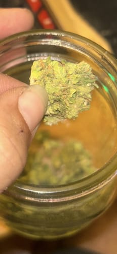 Ice Runtz - 28 Gramm - Indica photo review