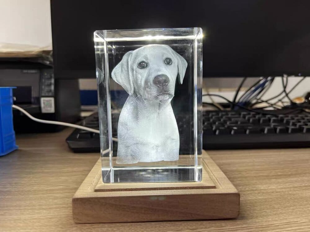 Customer photo review of 3D Pet Portrait Sculpting Crystal Night Light
