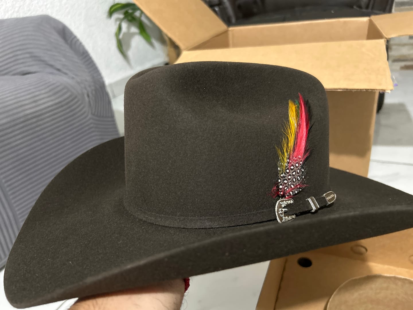 Customer photo review of Texana Stetson 6x Skyline Chocolate