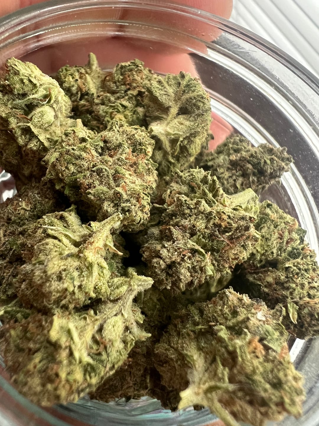 Customer photo review of Candy Cartel Light Assist THCA