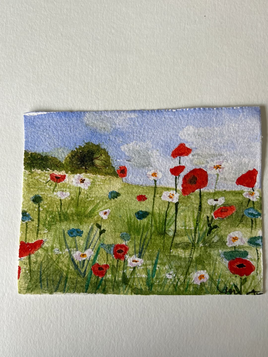 Customer photo review of WATERCOLOR PAPER STACKS