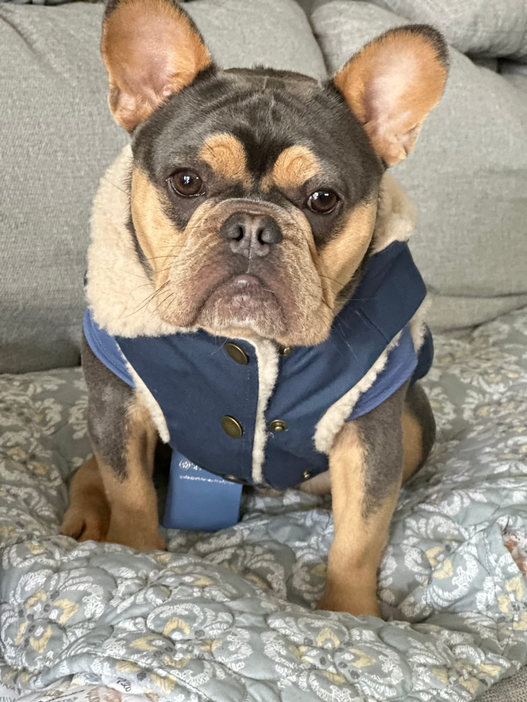 Customer photo review of Workdog Insulated Utility Jacket - Navy
