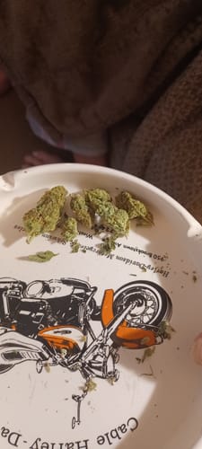 Laughing Gas - Bulk - Hybrid photo review