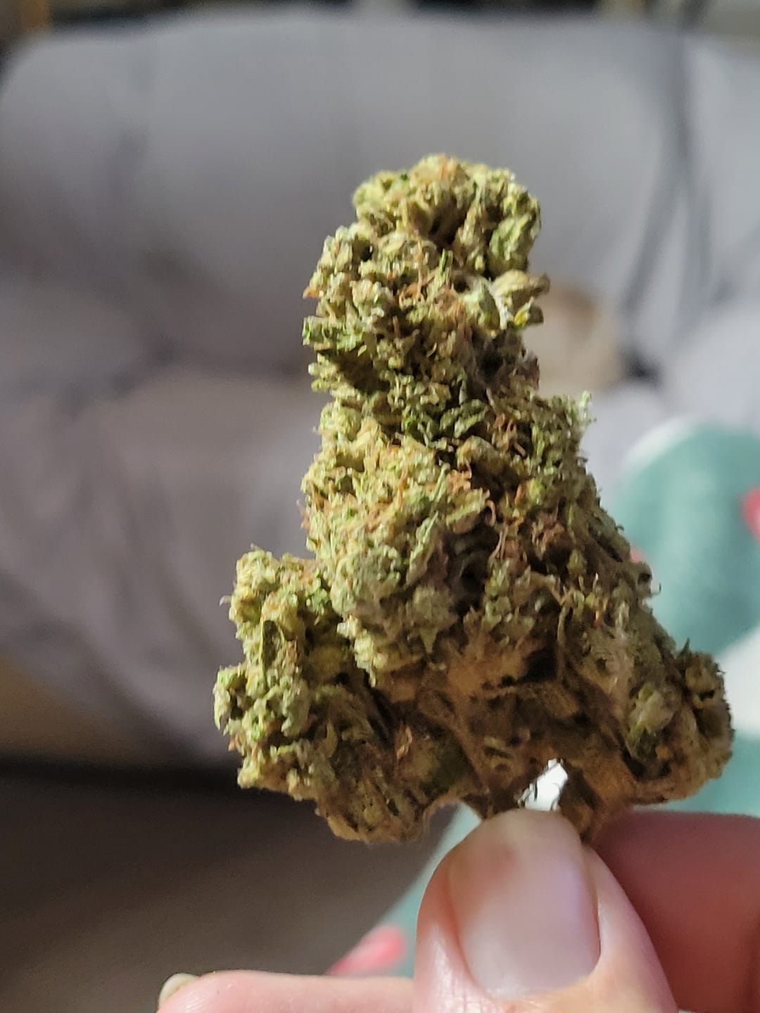Customer photo review of Heavy OG - Minis - 28 Grams - Indica