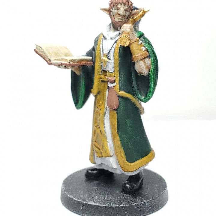 Customer photo review of Firbolg Cleric