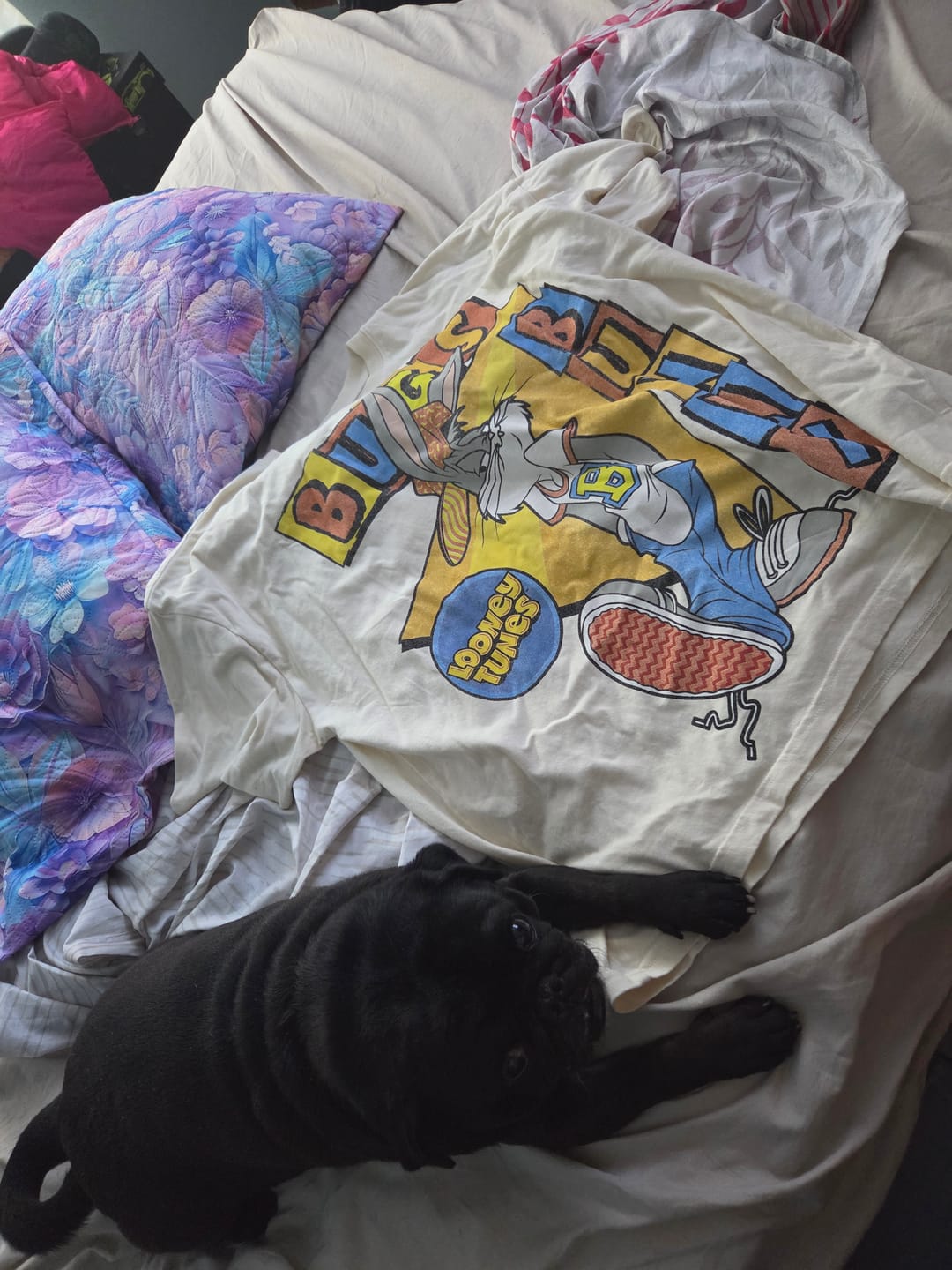 Customer photo review of 4291 - Looney Tunes Vintage Tees
