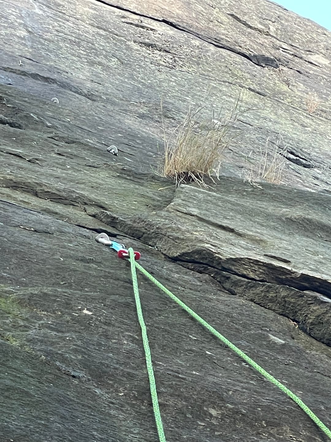 Customer photo review of Slide-Cinch Lead Rope Solo Anchor Tensioner
