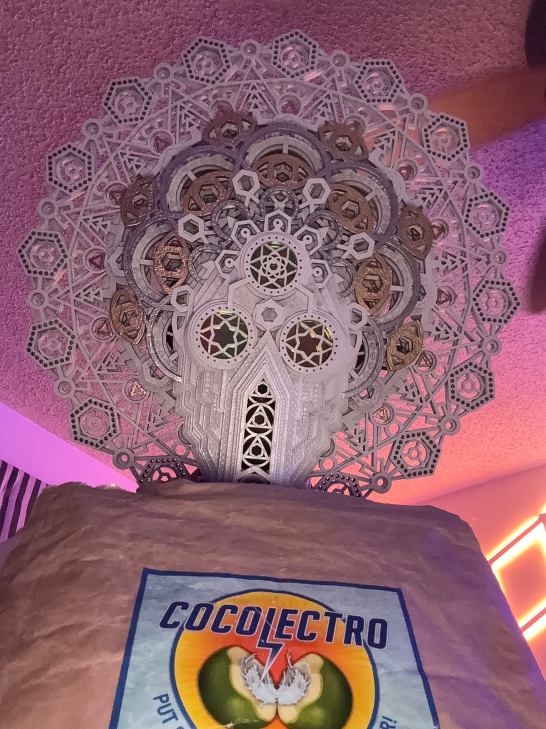 Customer photo review of CocoLectro - Organic Freeze Dried Coconut Water Powder CocoLectro