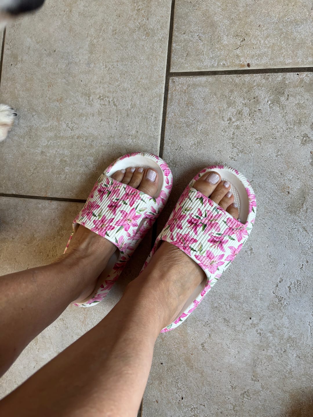 Customer photo review of HappyFlops Limited Editions