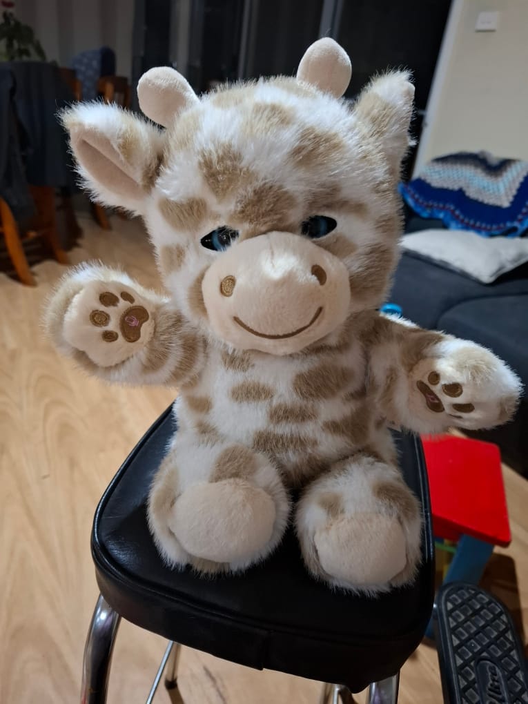 Customer photo review of Interactive Giraffe