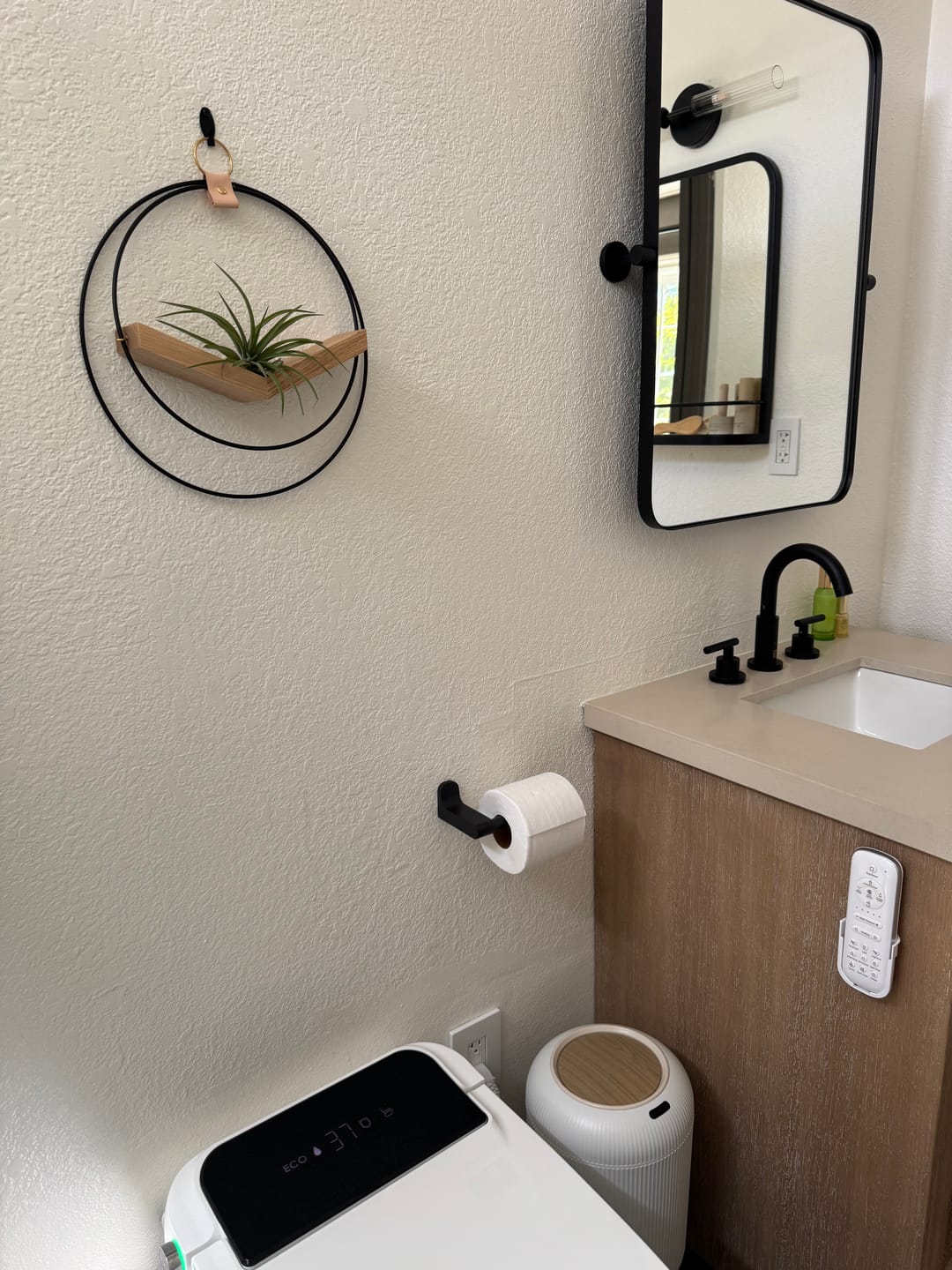 Customer photo review of Air Plant V-Hanger