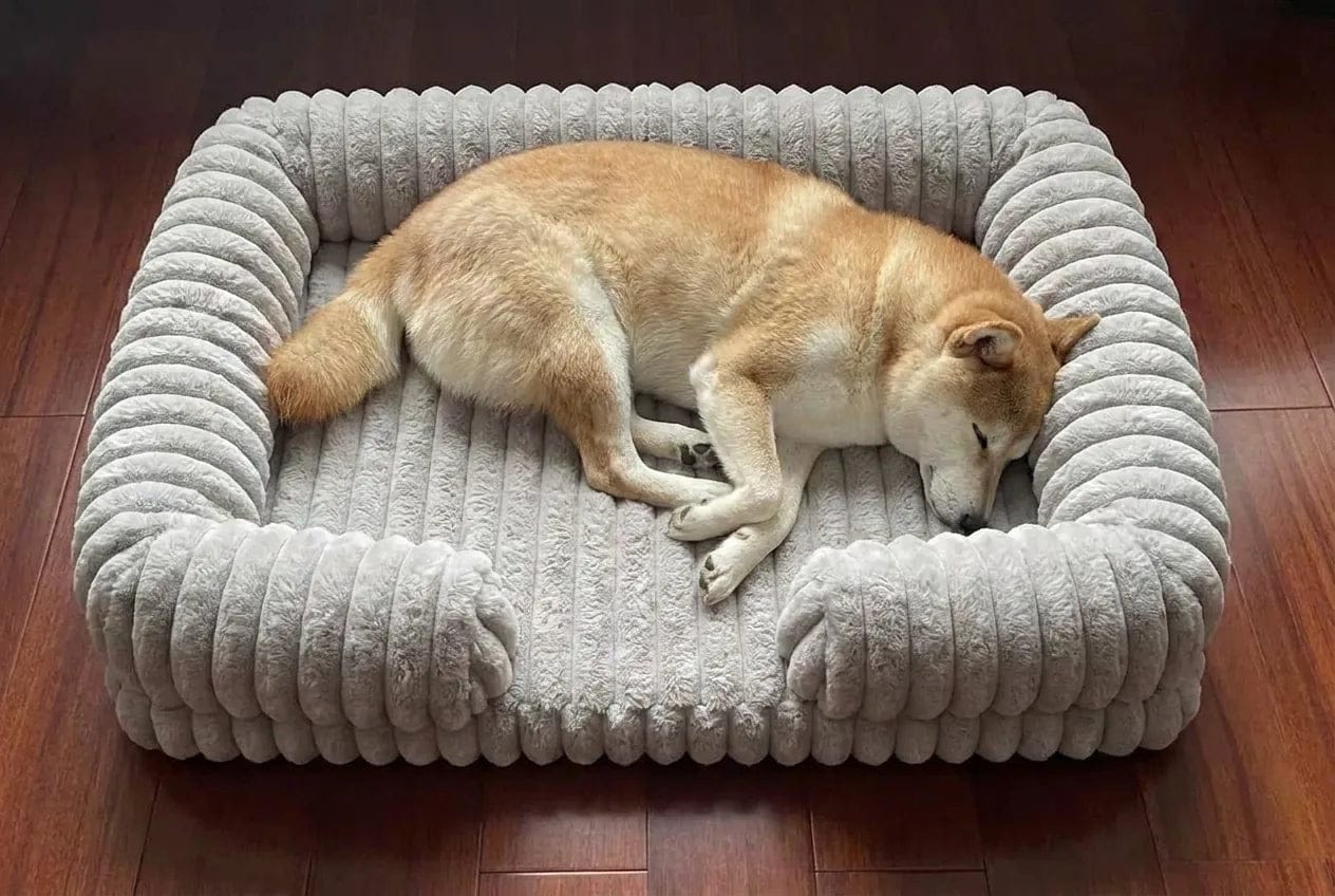 Customer photo review of Panier orthopédique pour chien