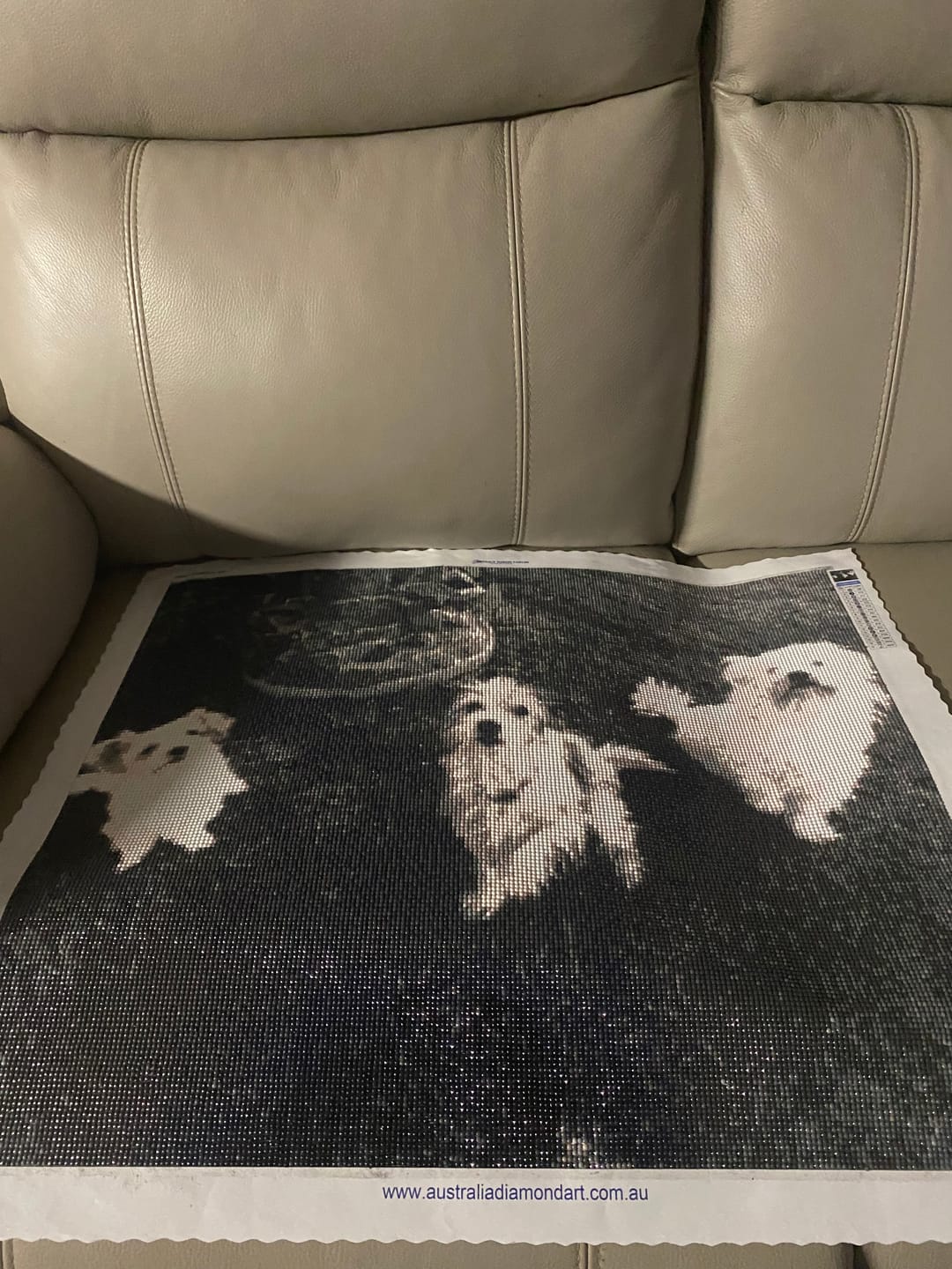 Customer photo review of Custom Diamond Painting