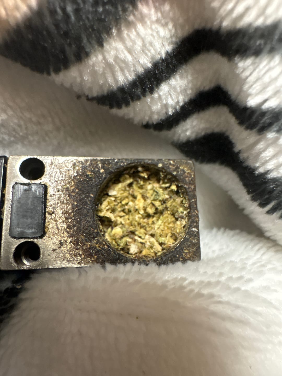 Customer photo review of Gelato Cake - 28 Grams - Hybrid