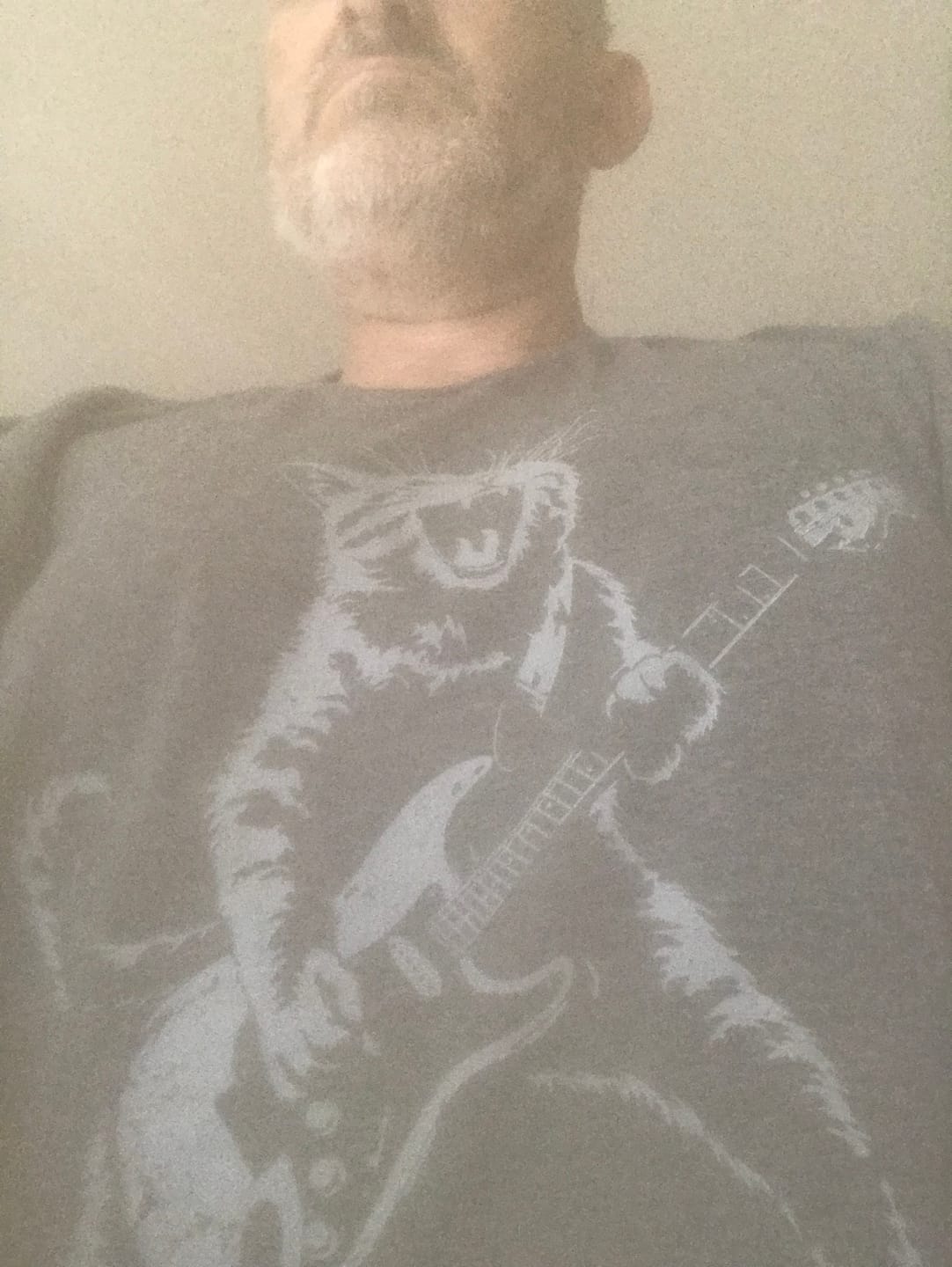 Customer photo review of Rock Kitty T-Shirt