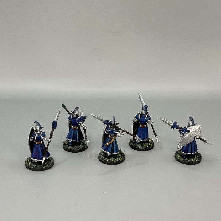 Customer photo review of The Lancers - High Elves