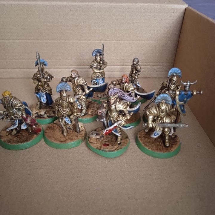 Customer photo review of High Elves - The Slayer