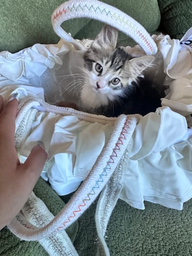 Customer photo review of Ruffle Blossom Tote