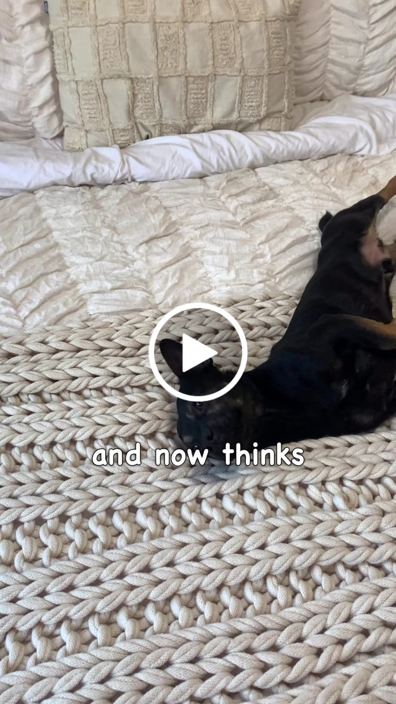 Customer video review of Fur King Throne - Orthopedic Dog Bed