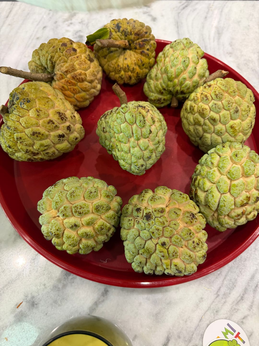 Customer photo review of Sugar Apple (Sweetsop) *Pre-Order*