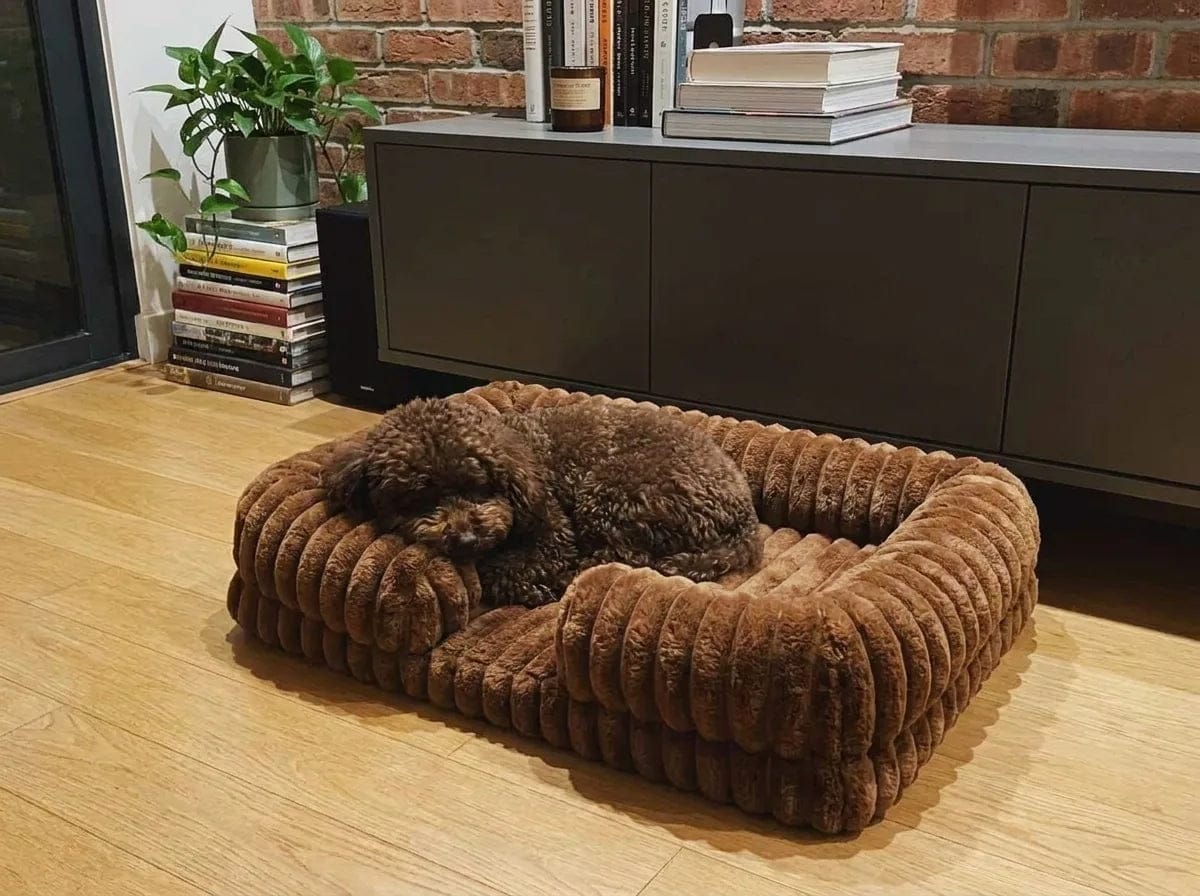 Customer photo review of Panier orthopédique pour chien