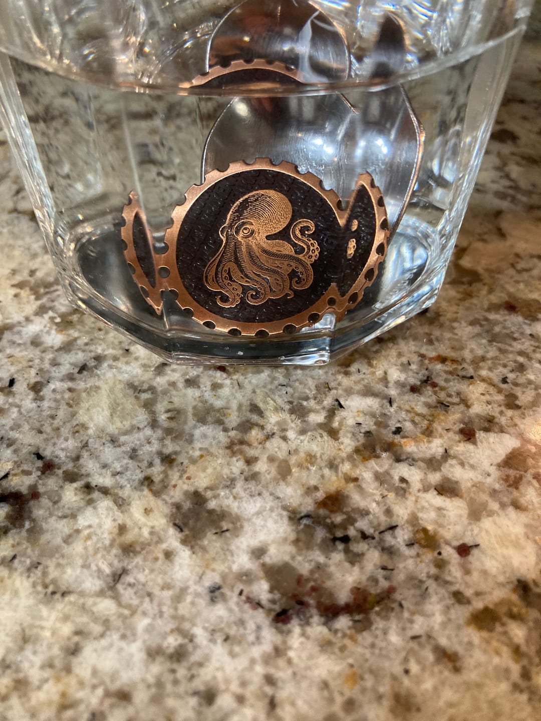 Customer photo review of The Octopus Coin — Copper