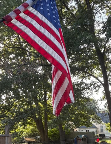 Customer photo review of Non-Tangle Flagpole Spinners