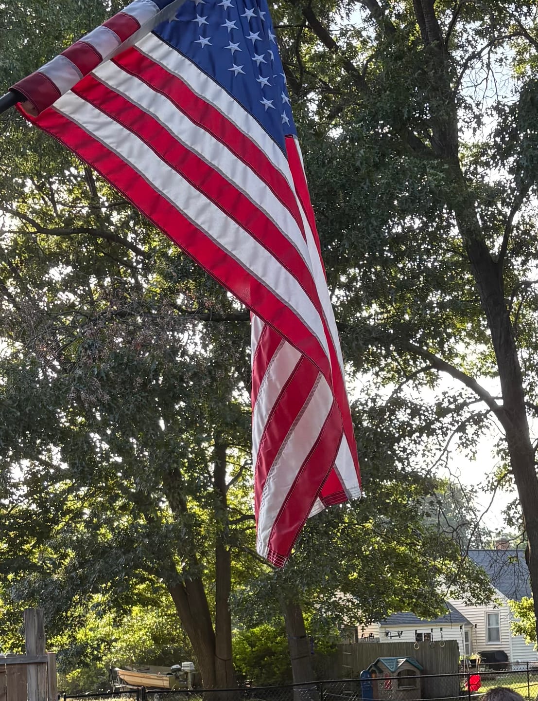 Customer photo review of Non-Tangle Flagpole Spinners
