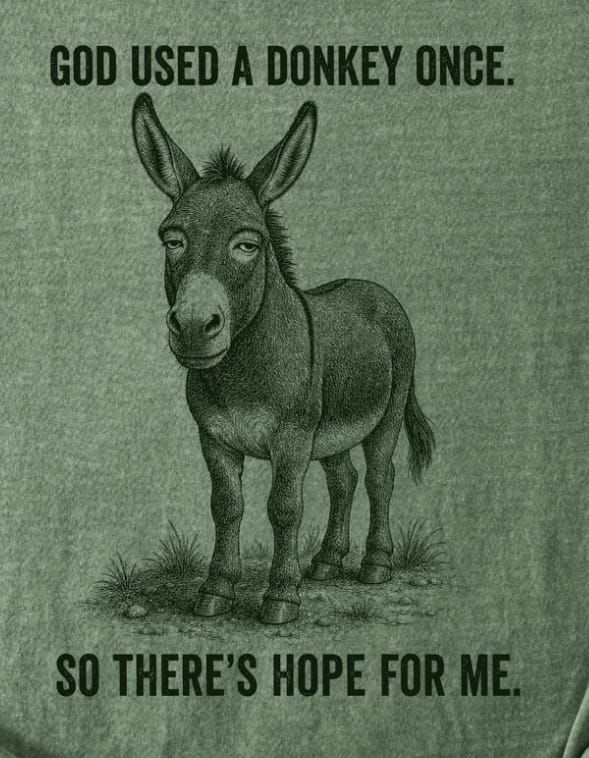 Customer photo review of God Used a Donkey Once, So There's Hope for Me Premium T-shirt