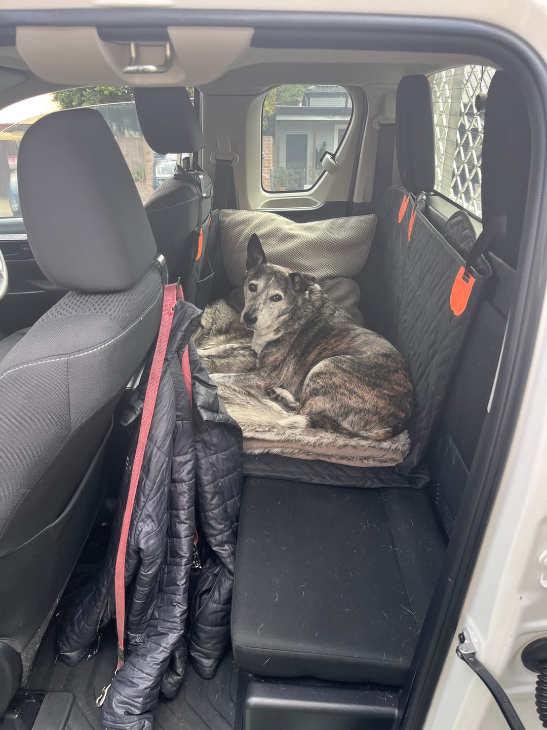 Customer photo review of Paw Protect - Hard Bottom Car Seat Cover🐾