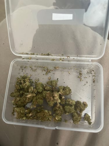 GMO - 28 Grams - Indica photo review