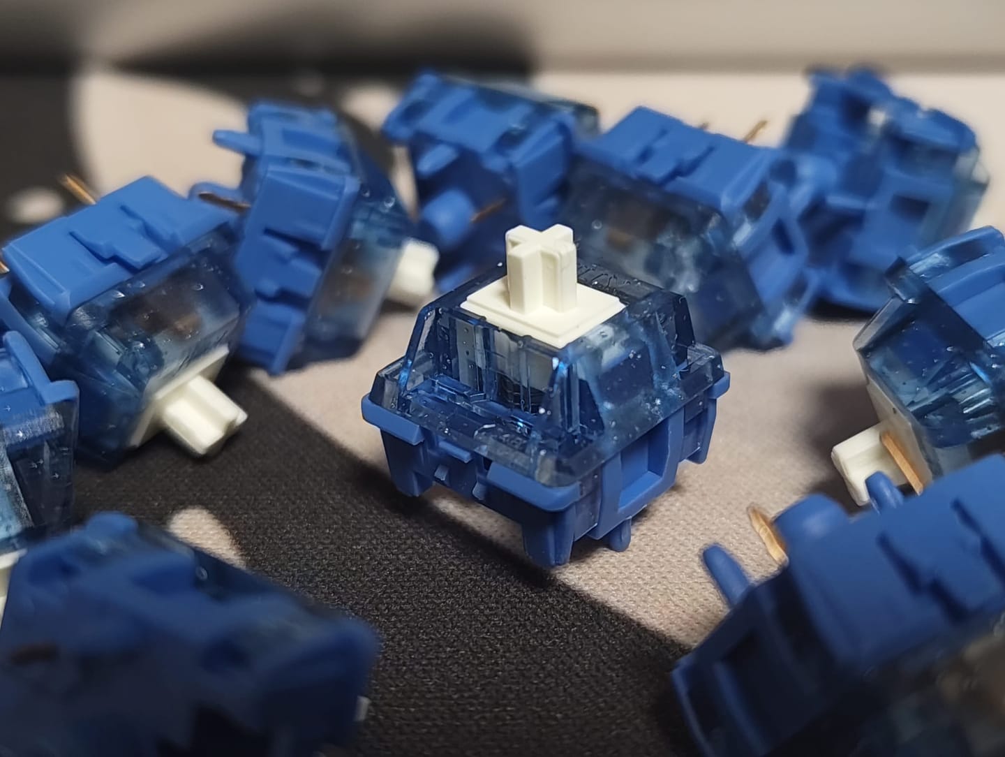 Customer photo review of Sillyworks X HMX Waverider V2 Tactile Switch FACTORY LUBED (10PCS)