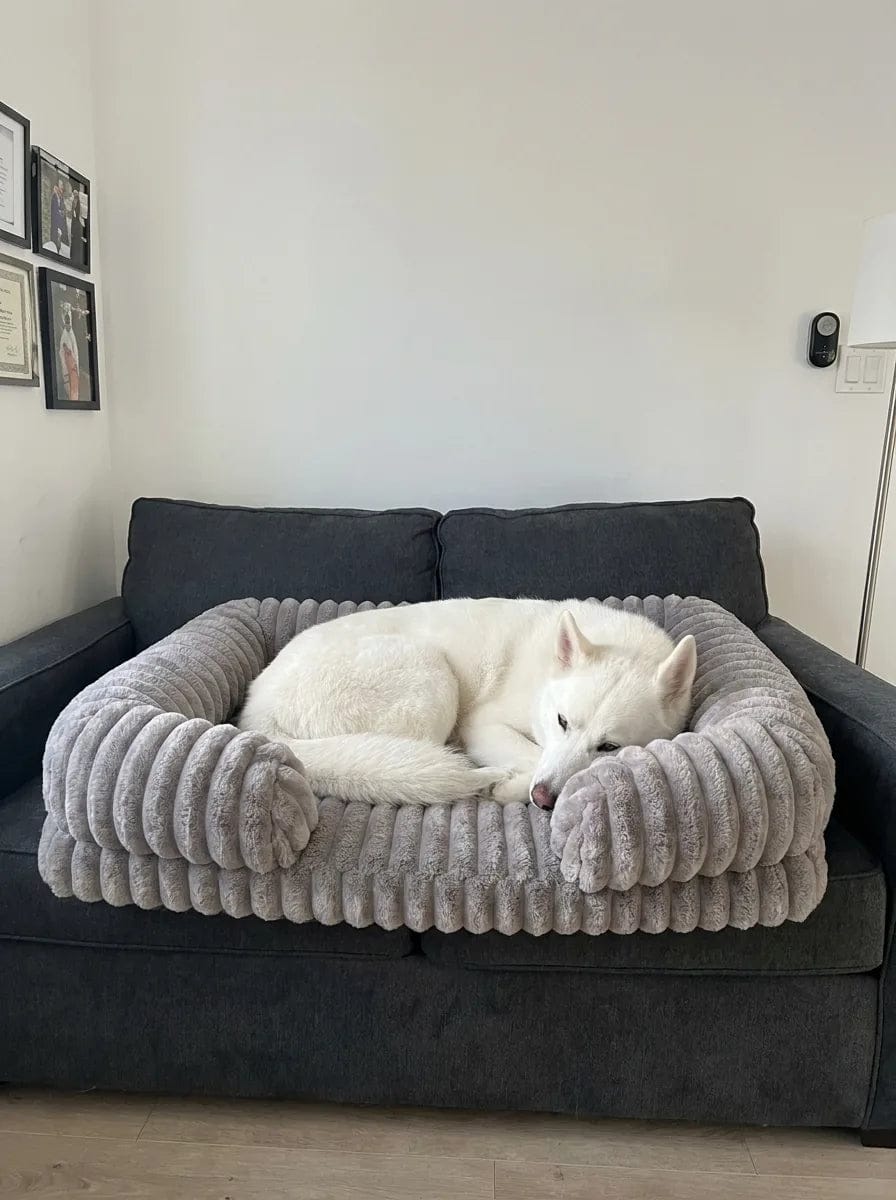 Customer photo review of Panier orthopédique pour chien
