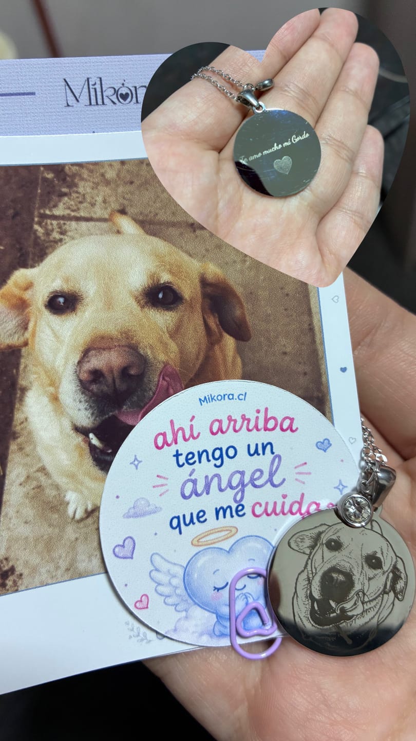 Customer photo review of Collar Grabado con la foto de tu Amigo Fiel 🐶